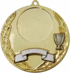 Реальное фото Медаль MD851 d-50 мм от магазина СпортСЕ