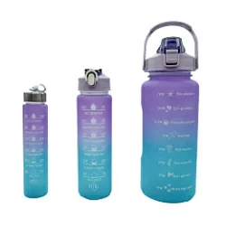 Набор из 3-х спортивных бутылок violet/green WB03-MATR