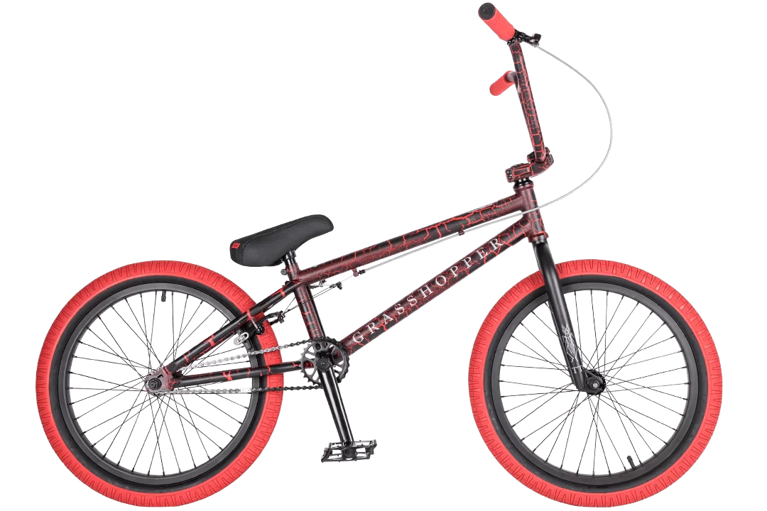 Реальное фото Велосипед BMX TechTeam Grasshoper 20" красный от магазина СпортСЕ